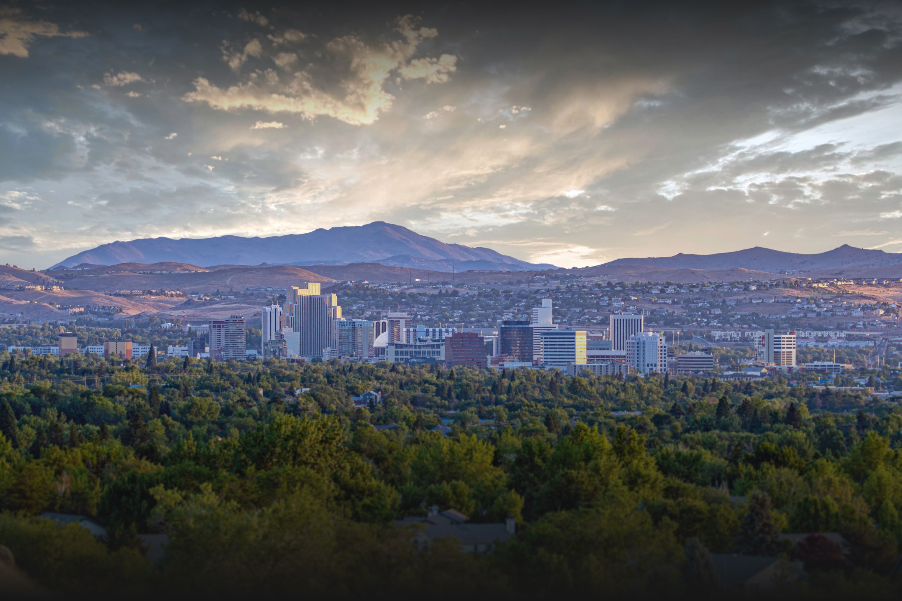 Homepage hero 2025 v2